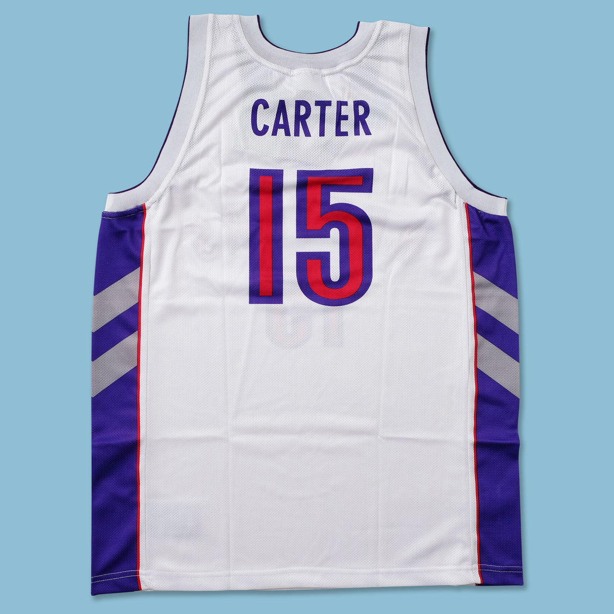 Vintage Champion Toronto Raptors Jersey | Double Double Vintage
