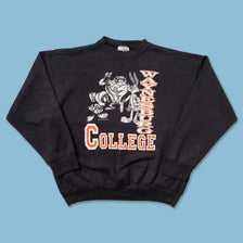 1993 Waynesburg College Looney Tunes Sweater Large - Double Double Vintage