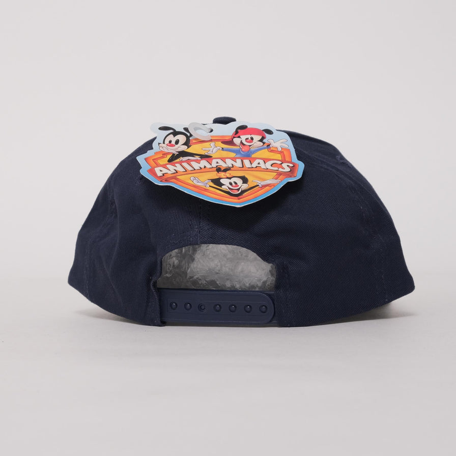 Vintage DS Animaniacs Snapback 