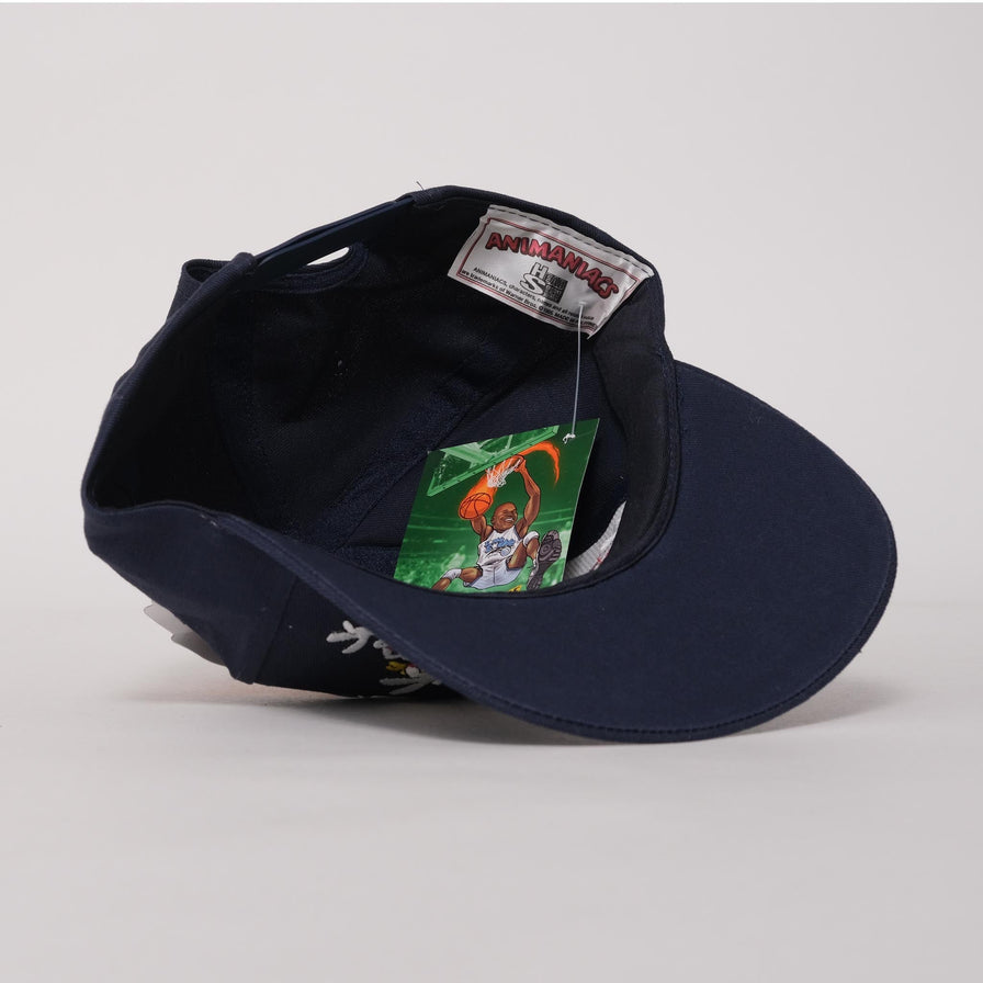 Vintage DS Animaniacs Snapback 