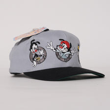 Vintage DS Animaniacs Snapback 