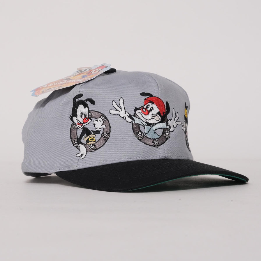 Vintage DS Animaniacs Snapback 