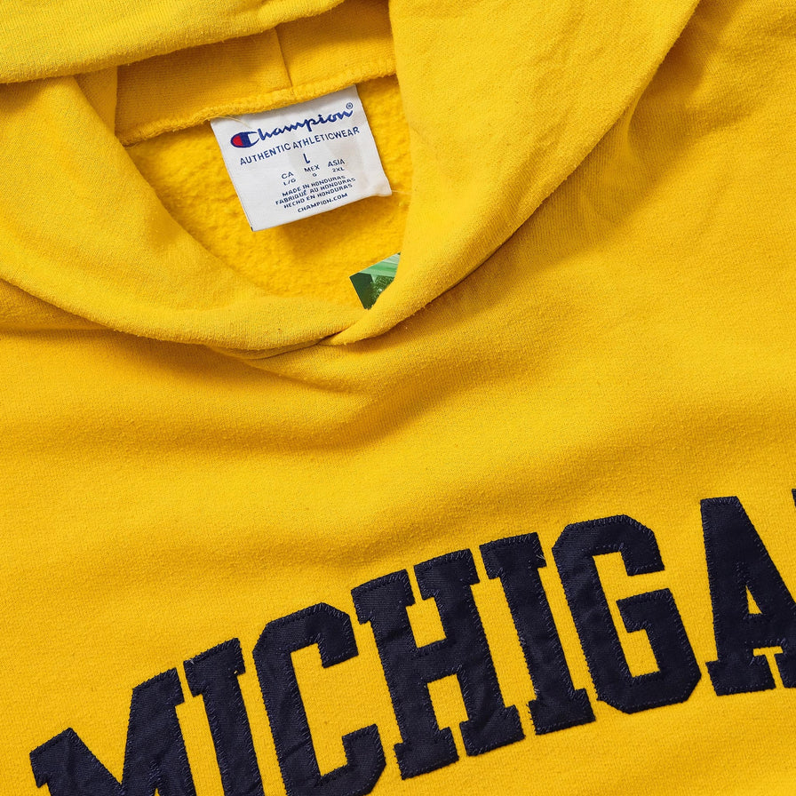 Champion Michigan Hoody Large 