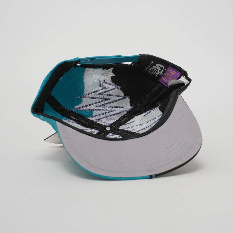 Vintage DS Starter Charlotte Hornets Kids Snapback 