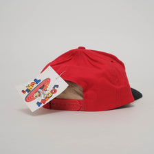 Vintage DS Taz Snapback 