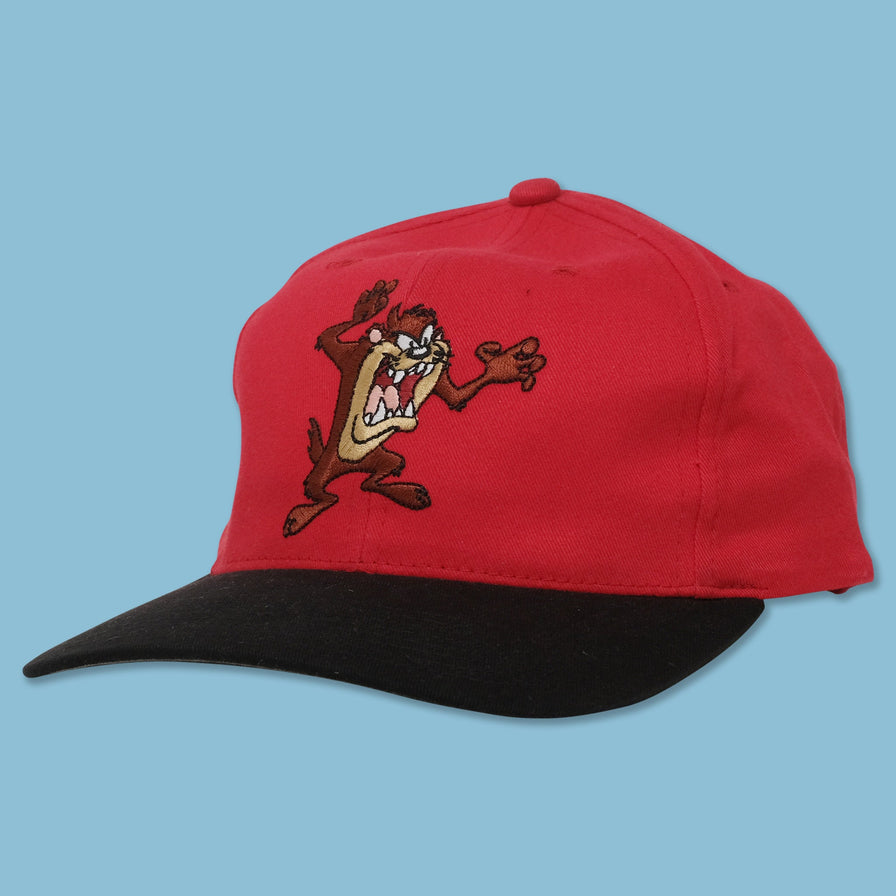 Vintage DS Taz Snapback 