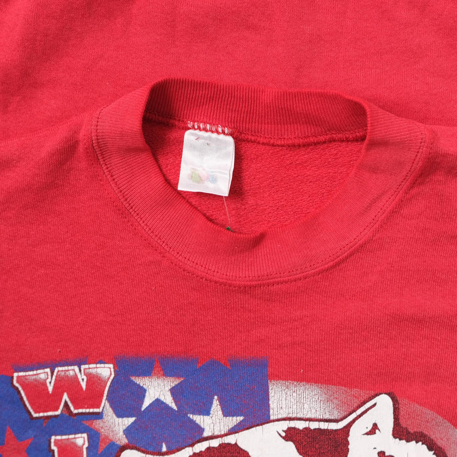 Vintage Wisconsin Badgers Sweater Large 
