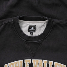 Champion Apple Valley Eagles Sweater Large 