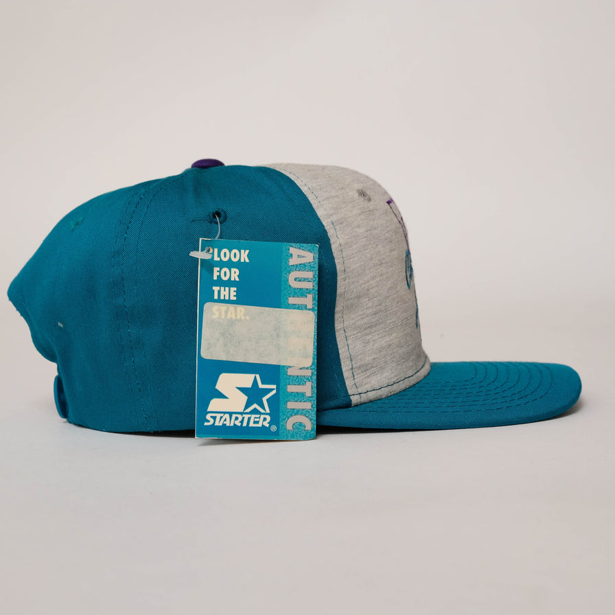 Vintage DS Starter Charlotte Hornets Snapback 