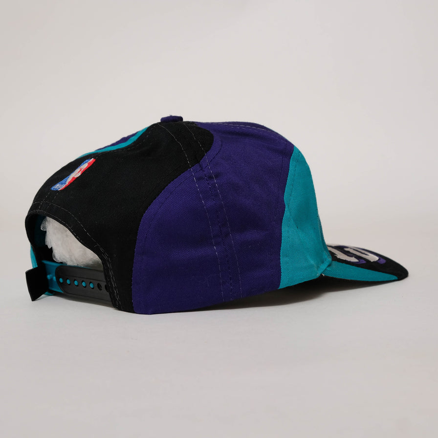Vintage DS Charlotte Hornets Snapback 