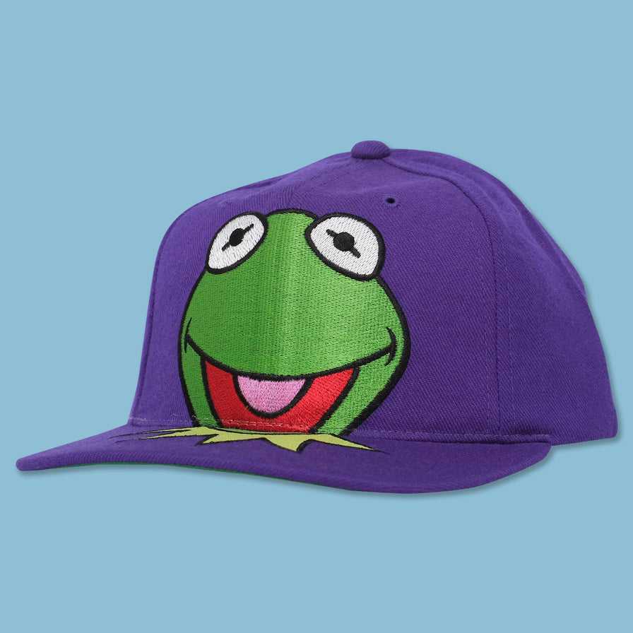 Vintage DS American Needle Kermit Snapback 