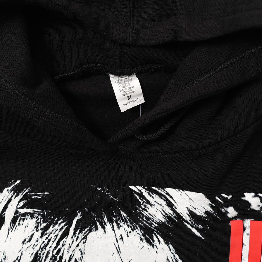 Vintage DS U2 Hoody 