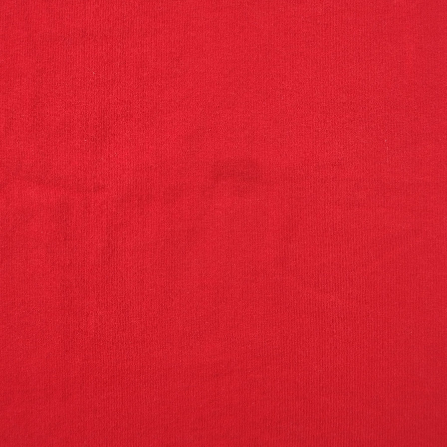 Vintage Detroit Red Wings T-Shirt Medium 