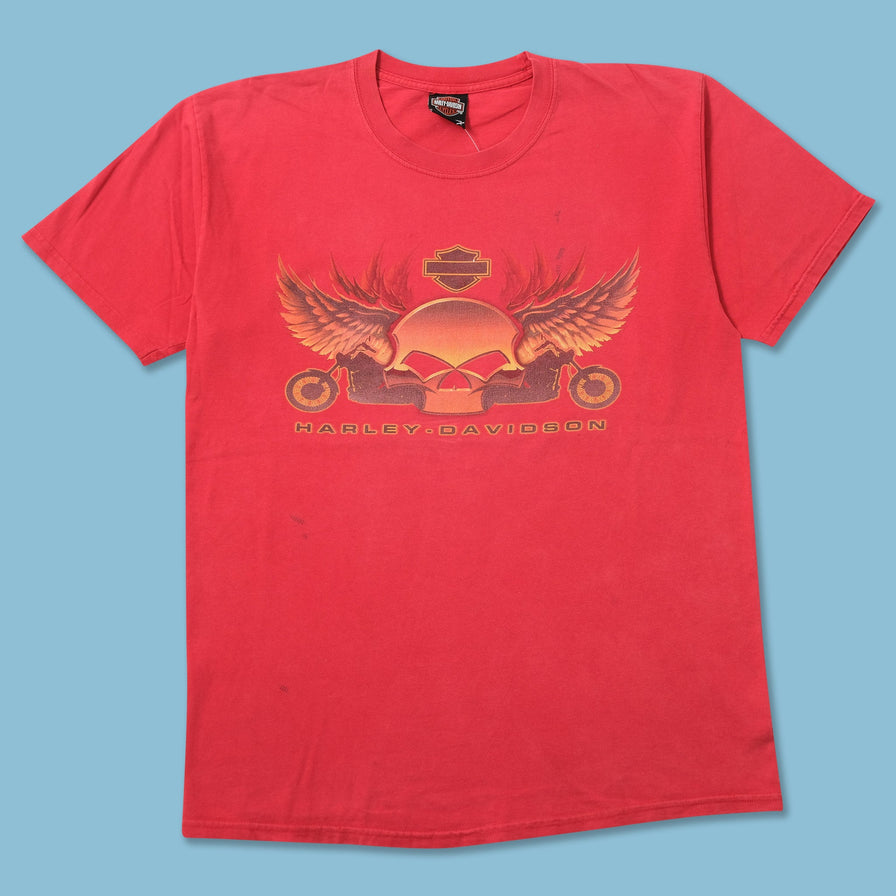 Vintage 2004 Harley Davidson T-Shirt Large 