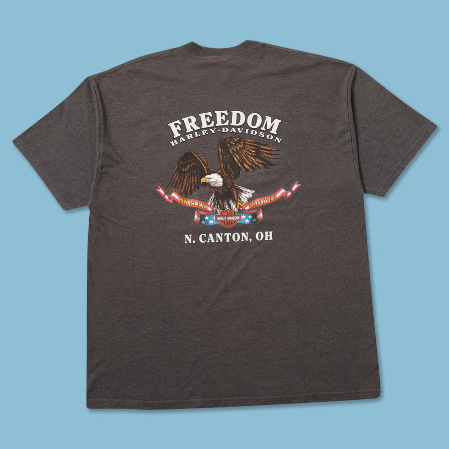 Vintage 2001 Harley Davidson T-Shirt Large 