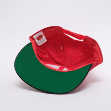 Vintage Deadstock Dr. Dre The Chronic Snapback