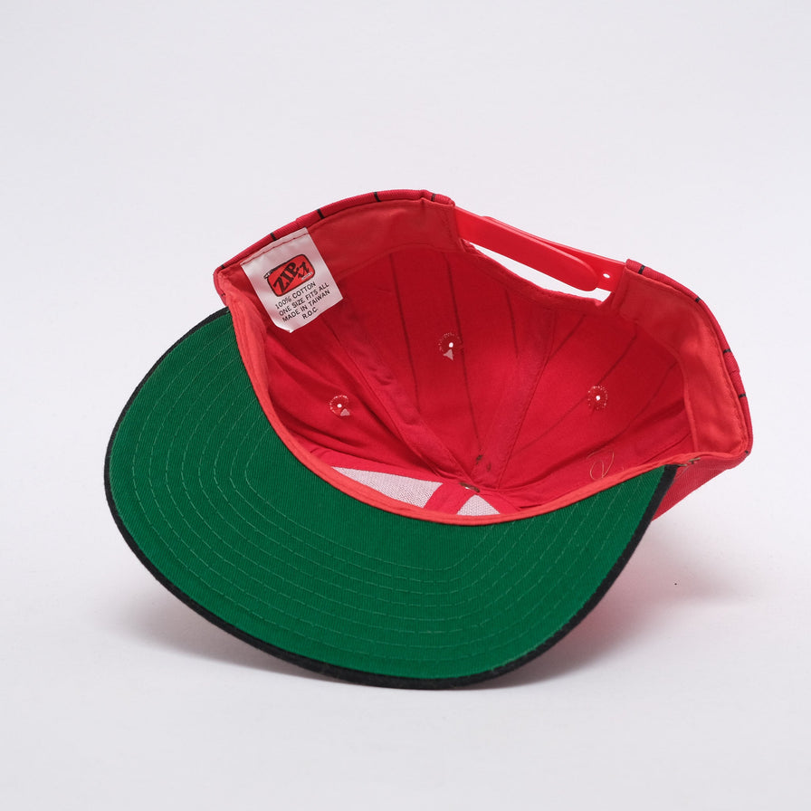 Vintage Deadstock Dr. Dre The Chronic Snapback