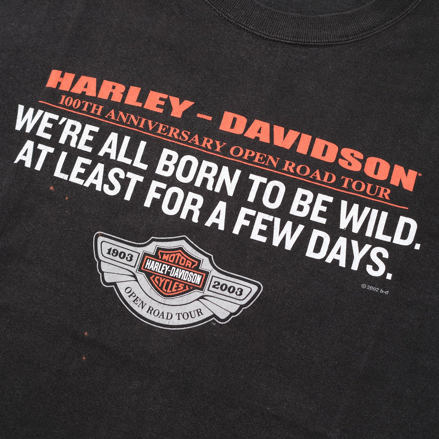 Vintage Harley Davidson T-Shirt XXL