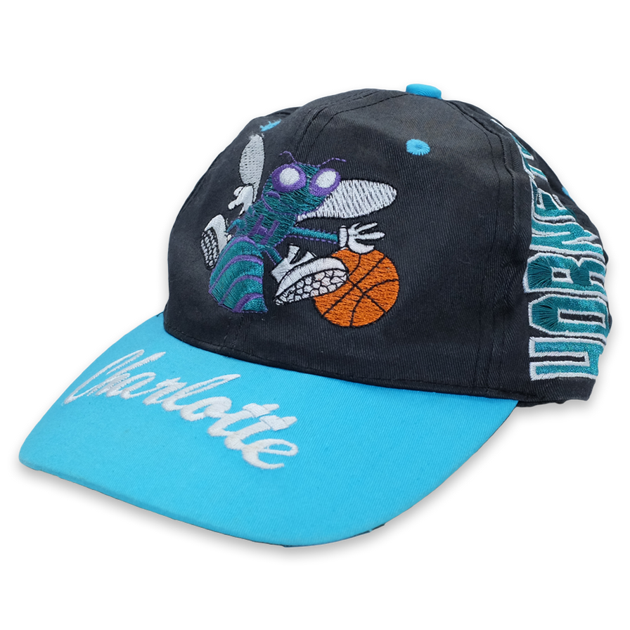 Vintage Charlotte Hornets Snapback - Double Double Vintage