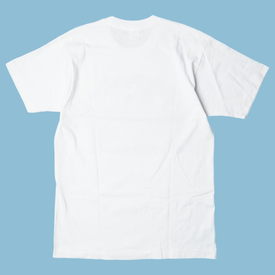 Vintage Fruit of the Loom 90s Kathy Mattea Tour T-Shirt - L