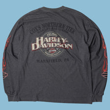 Vintage Harley Davidson Eagle Flames Longsleeve - XL