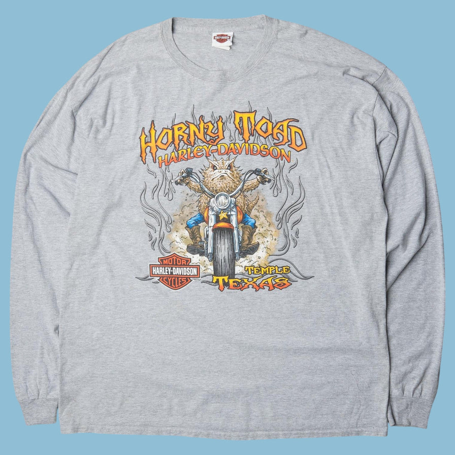 Vintage Harley Davidson Horny Toad Temple Texas Longsleeve - 2XL