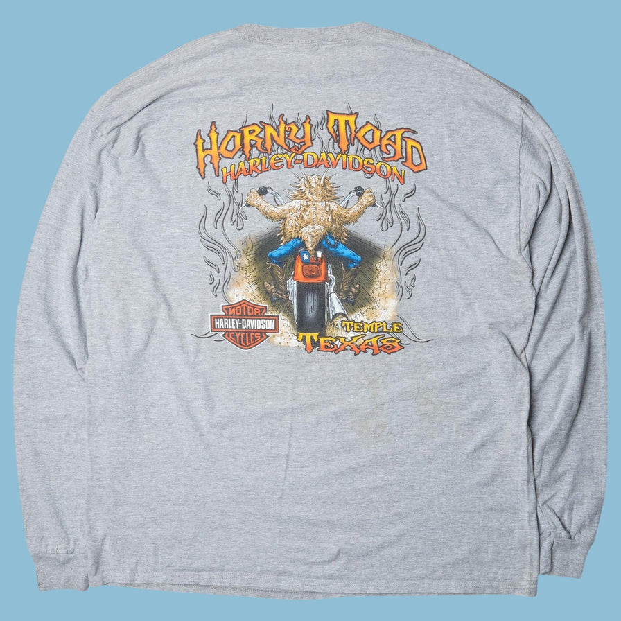 Vintage Harley Davidson Horny Toad Temple Texas Longsleeve - 2XL