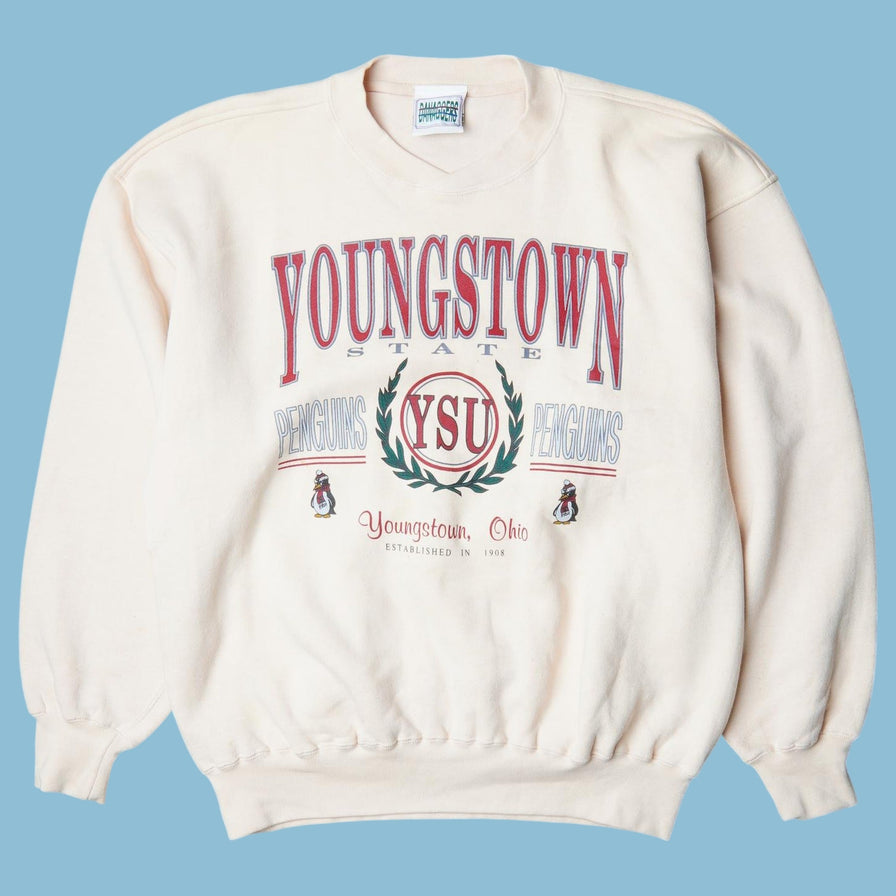 Vintage Jerzees 90s Youngstown State University Sweater - L