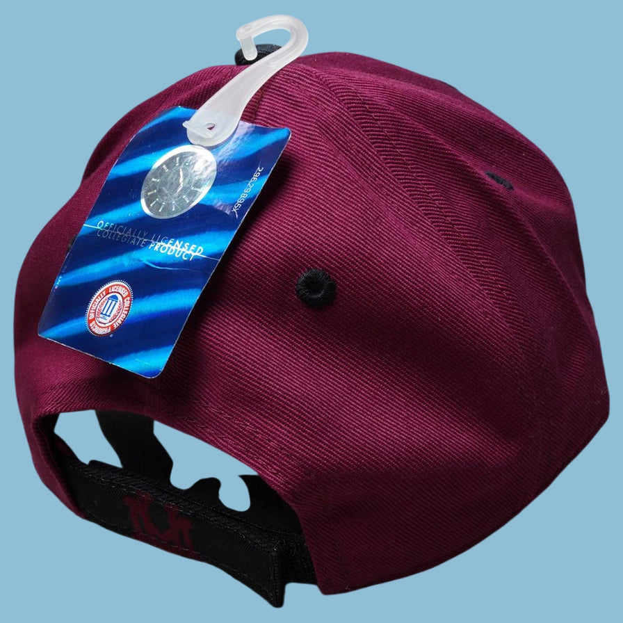 Vintage Montana Grizzlies Cap