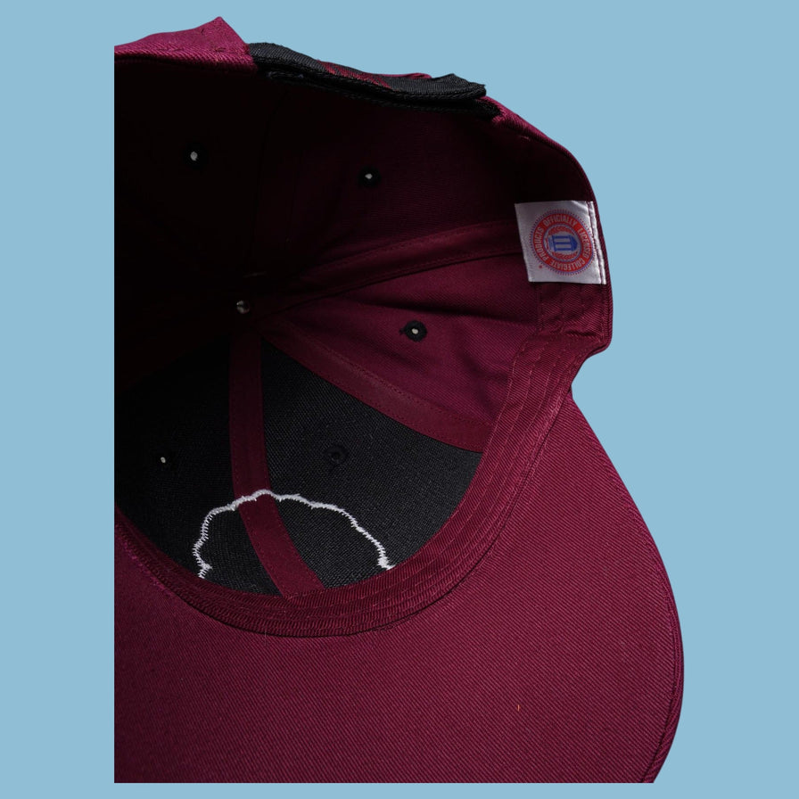 Vintage Montana Grizzlies Cap