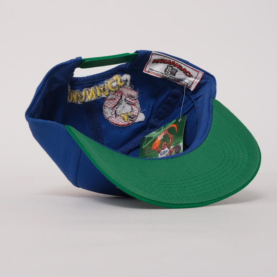 Vintage DS Animaniacs Snapback 