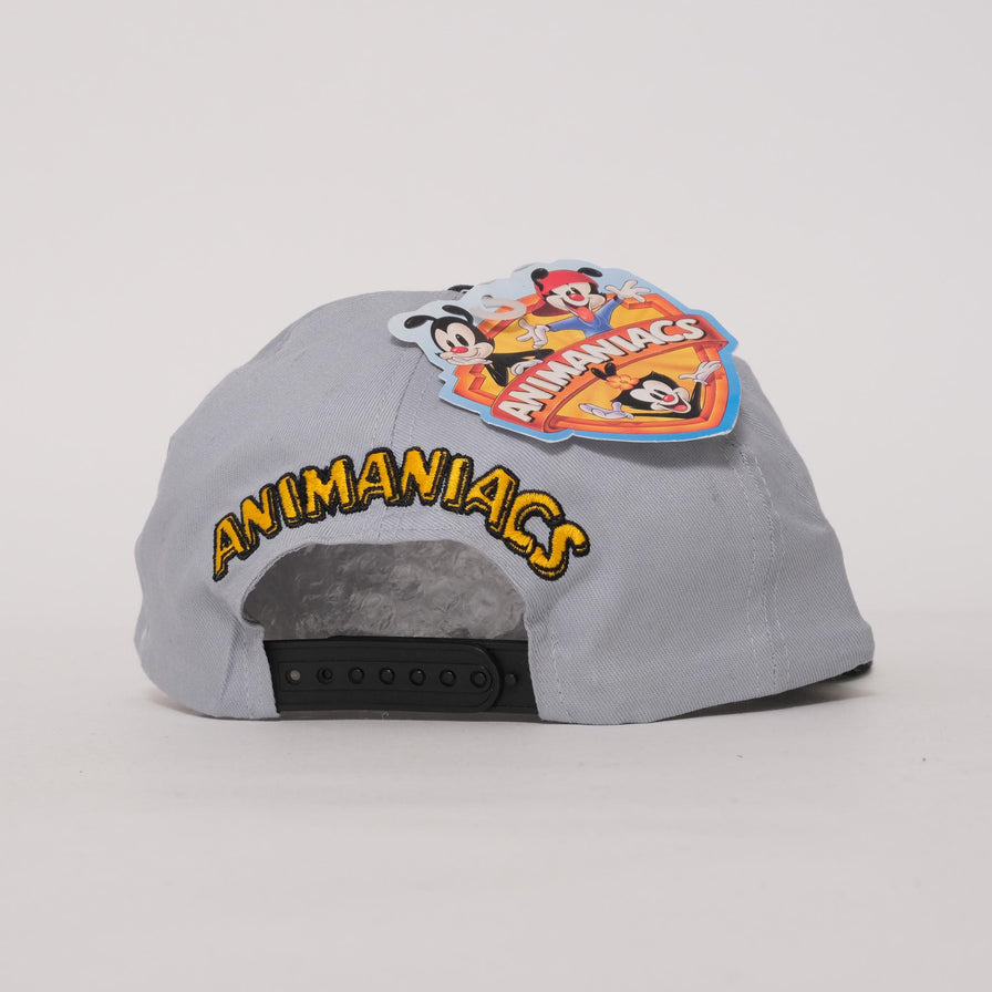Vintage DS Animaniacs Snapback 