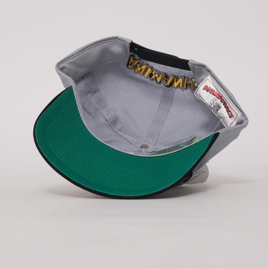 Vintage DS Animaniacs Snapback 