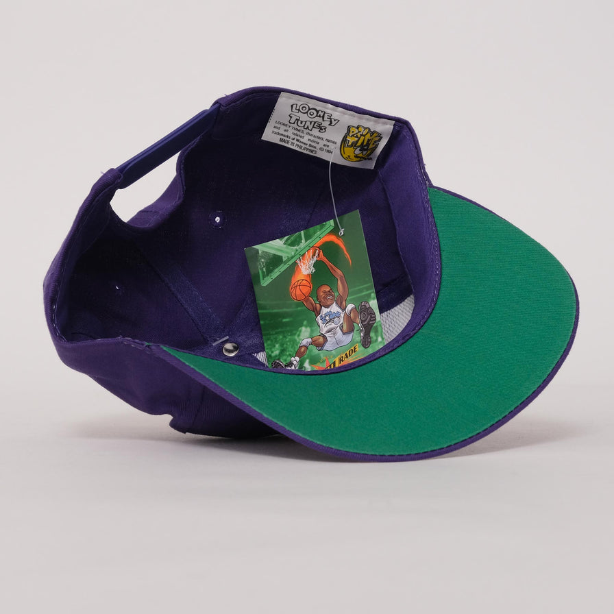 Vintage DS Wile E. Coyote Snapback 