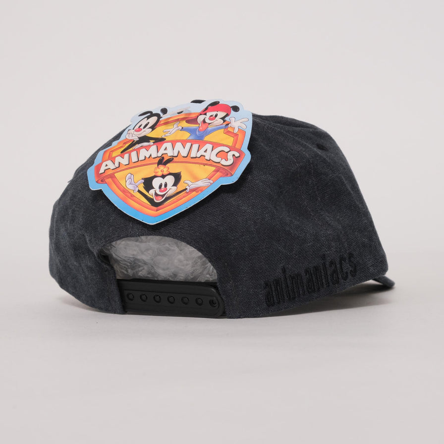 Vintage DS Animaniacs Snapback 