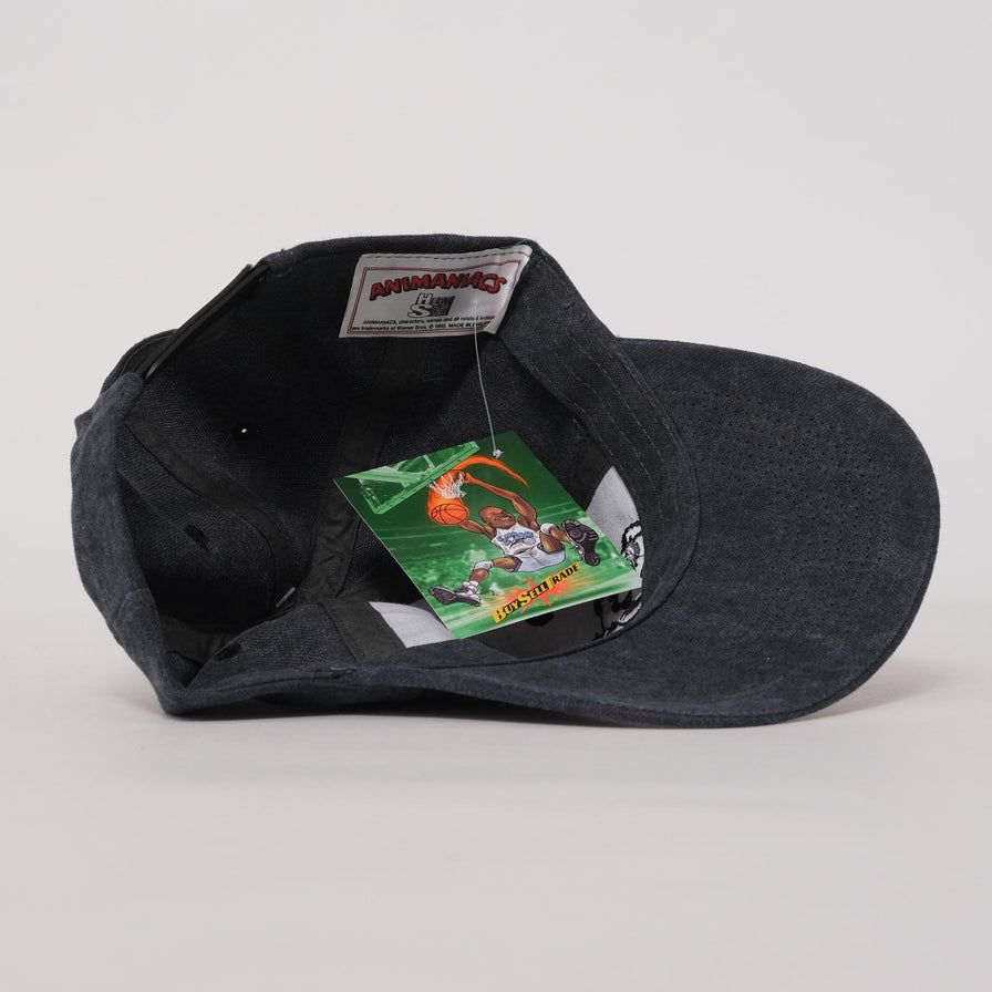 Vintage DS Animaniacs Snapback 