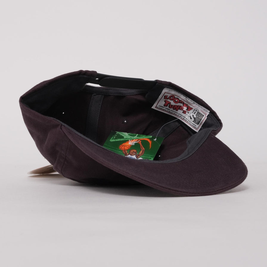 Vintage DS Marvin The Martian Snapback 