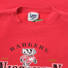 Vintage Wisconsin Badgers Sweater XXL 