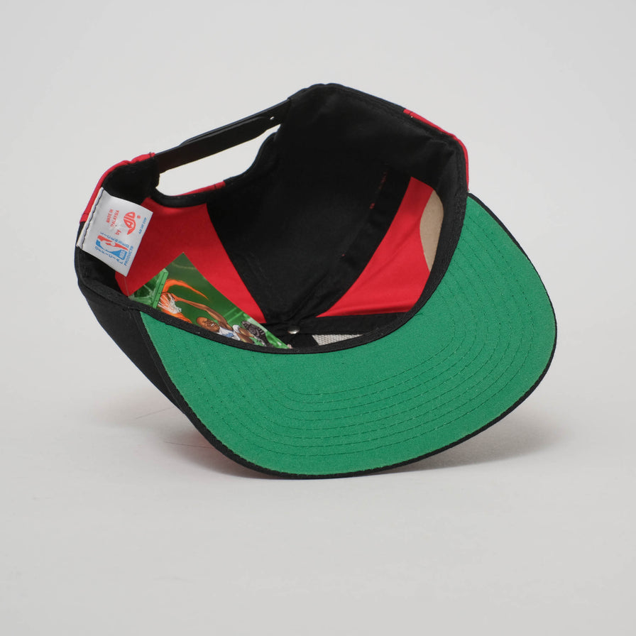 Vintage DS Houston Rockets Snapback 