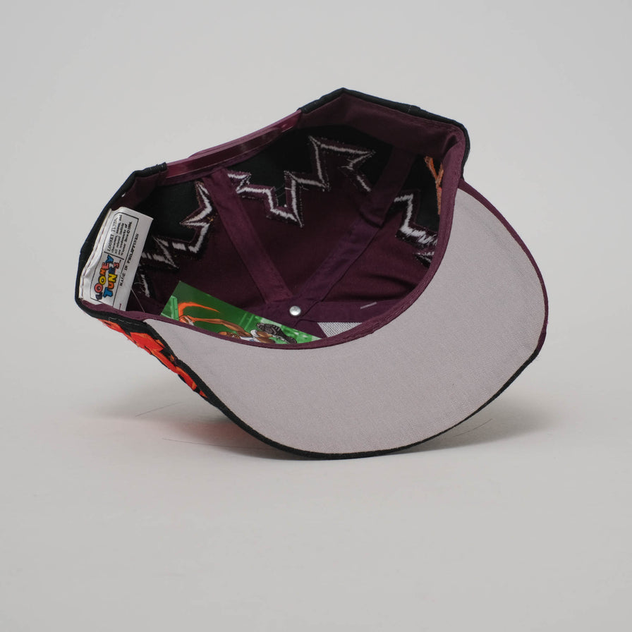 Vintage DS Taz Snapback 