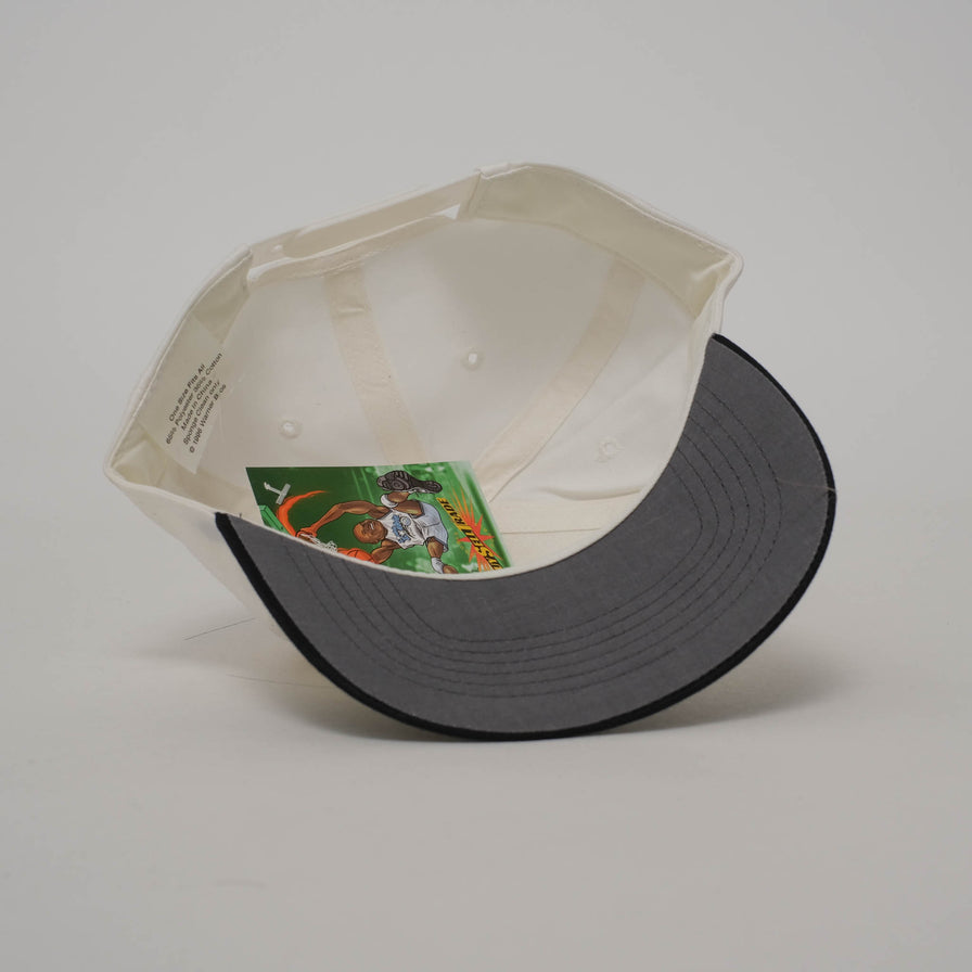 Vintage DS Taz Snapback 