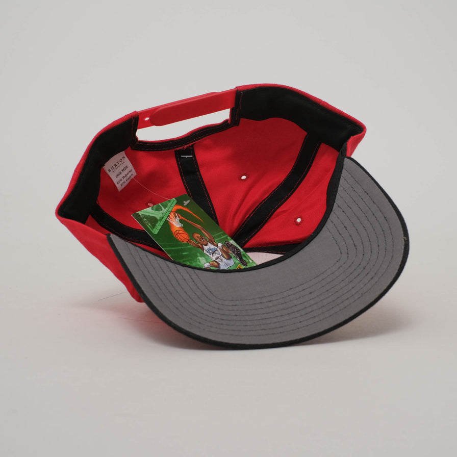 Vintage DS Taz Snapback 