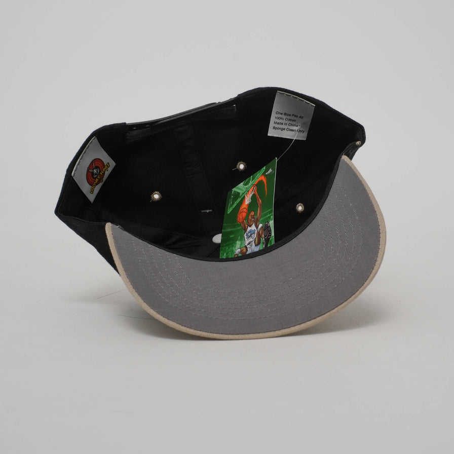 Vintage DS Taz Snapback 