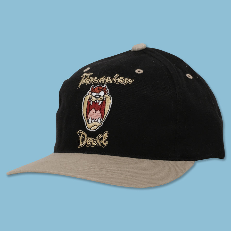 Vintage DS Taz Snapback 