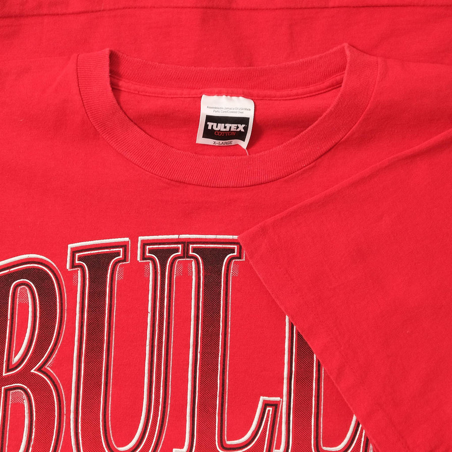 Vintage Chicago Bulls T-Shirt XLarge 