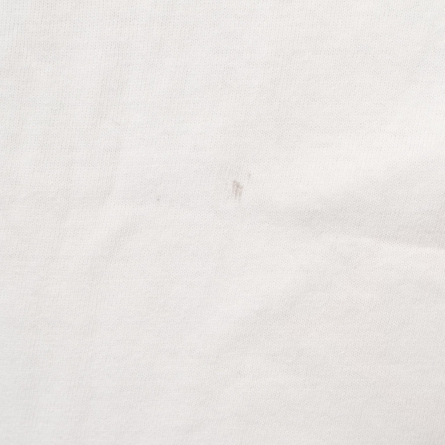 Vintage Champion Wisconsin Badgers T-Shirt Large 