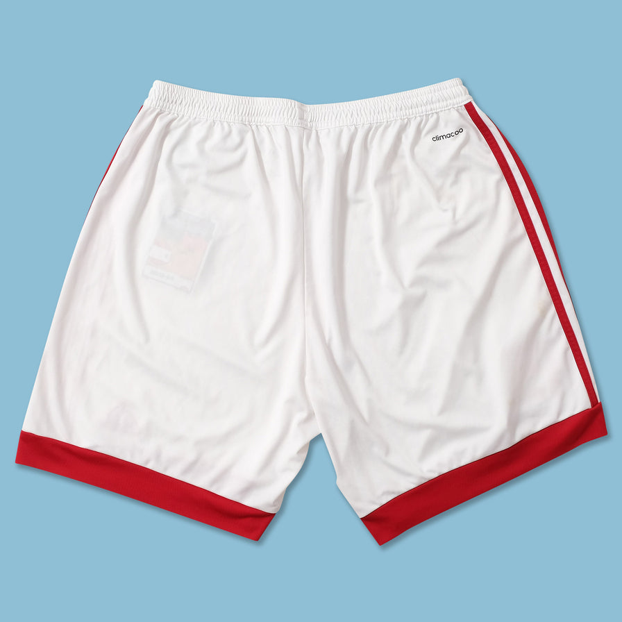 adidas Shorts Large 