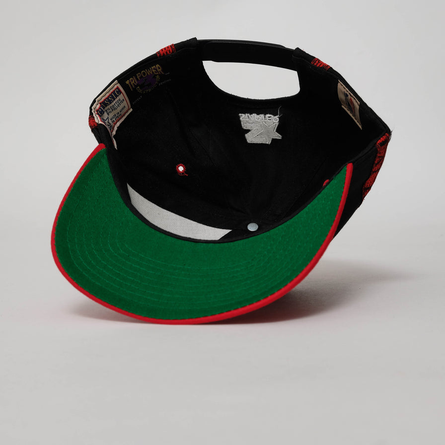 Vintage DS Starter Miami Heat Snapback 