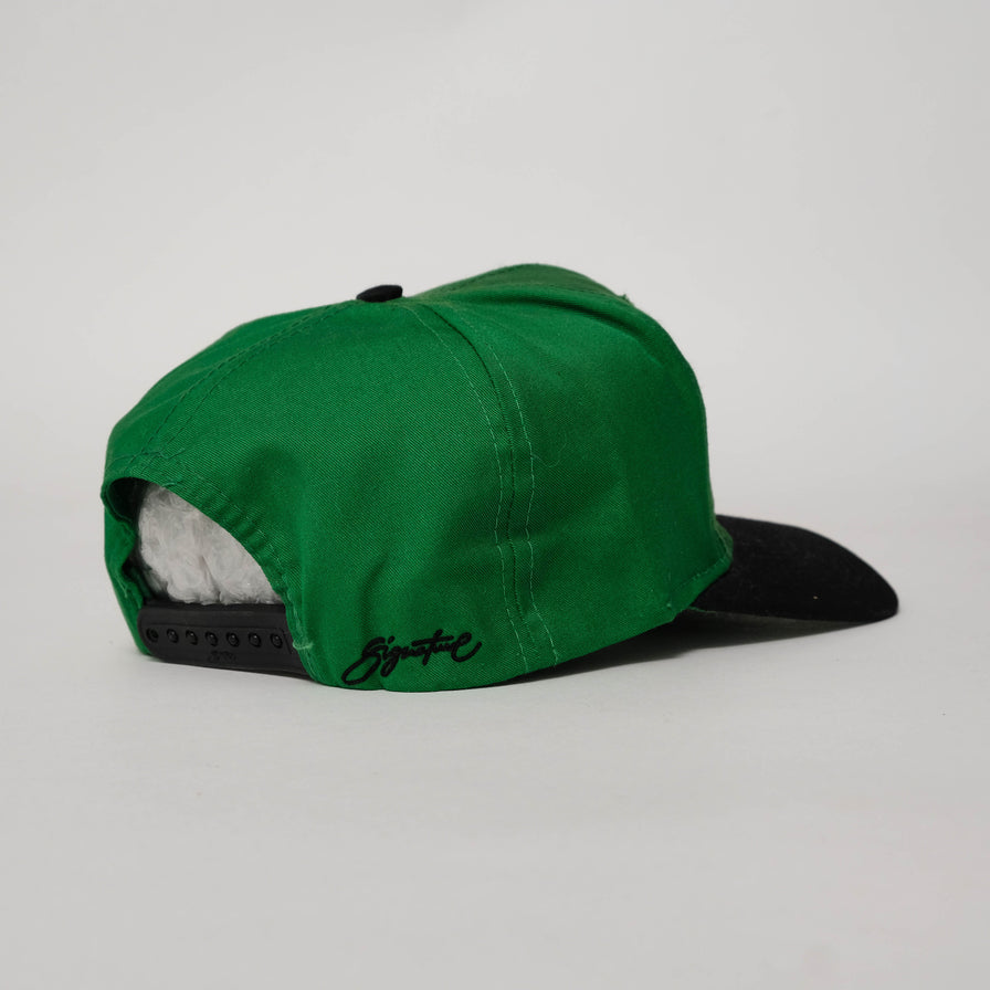 Vintage DS Boston Celtics Snapback 