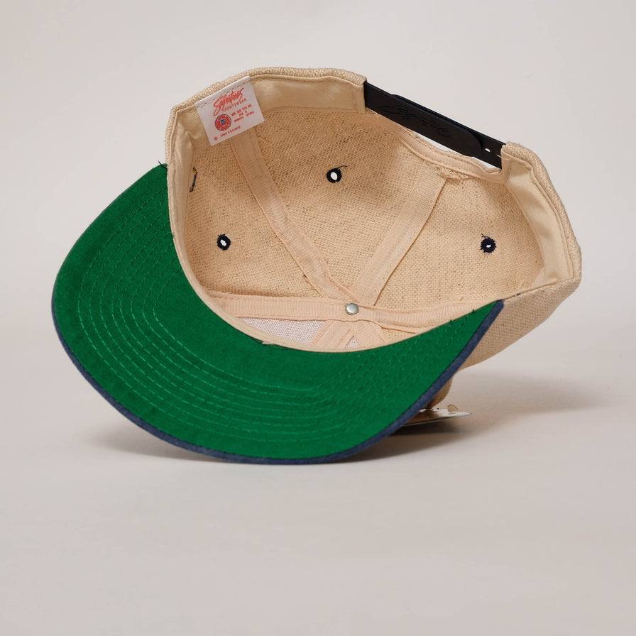 Vintage DS Michigan Wolverines Snapback 